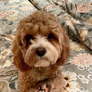 Meet your Posher, Catherine